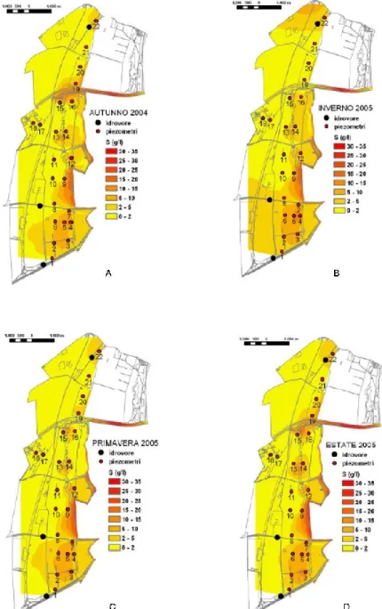 Fig. 3.6. Carte della distribuzione della salinità misurata alla superficiale della falda  nei  periodi  autunnale  (A),  invernale  (B),  primaverile  (C)  ed  estivo  (D)  (da  Giambastiani, 2006)