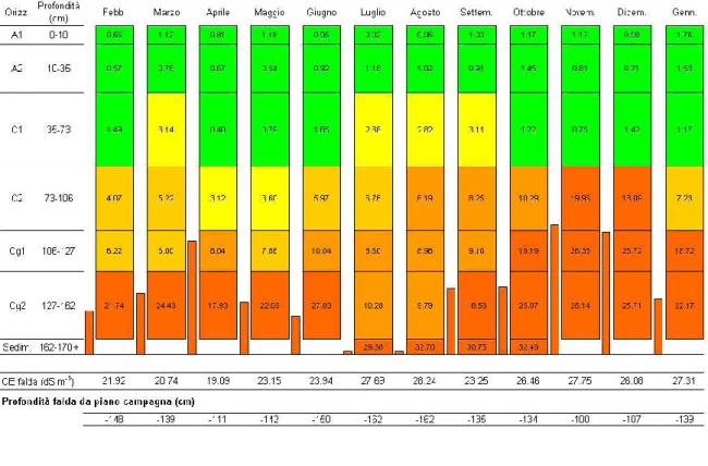 Tab. 3.3. Andamento della conduttività elettrica negli orizzonti del profilo di un suolo  San  Vitale  (zona  Est)  e  nelle  acque  di  falda  anno  2007