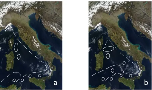 Figure  1.3  Reconstruction  of  the  surface  circulation  of  Tyrrhenian  Sea  during  winter-spring  (a) and in summer-autumn (b) 