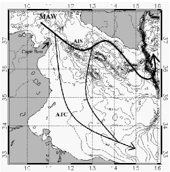 Figure 1.4 Reconstruction of the Sicily Channel surface circulation  