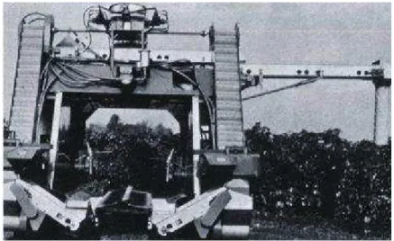 Figura 1. Foto storica di una vendemmiatrice scavallante a scuotimento verticale  prodotta dalla Chisholm-Ryder &amp; Co.(1967)