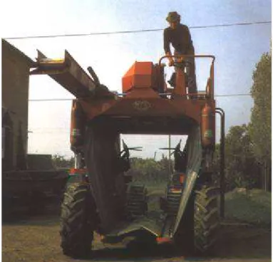 Figura 2. Vendemmiatrice a scuotimento verticale semovente realizzata in Italia  dalla ditta MTB (1971)