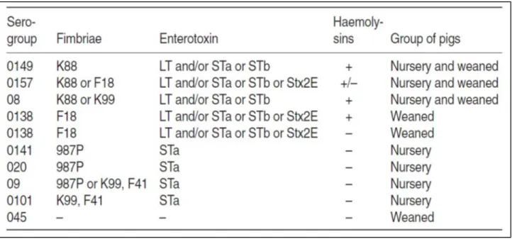 Table 5. Serogroups, fimbriae, enterotoxins and haemolysins of nursery and weaned piglets  (Varley M.A