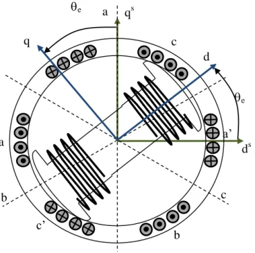 Fig. 1.1 Orientamento dei sistemi di riferimento statorico e rotorico rispetto agli avvolgimenti di statore e rotore (macchina WRSM) 