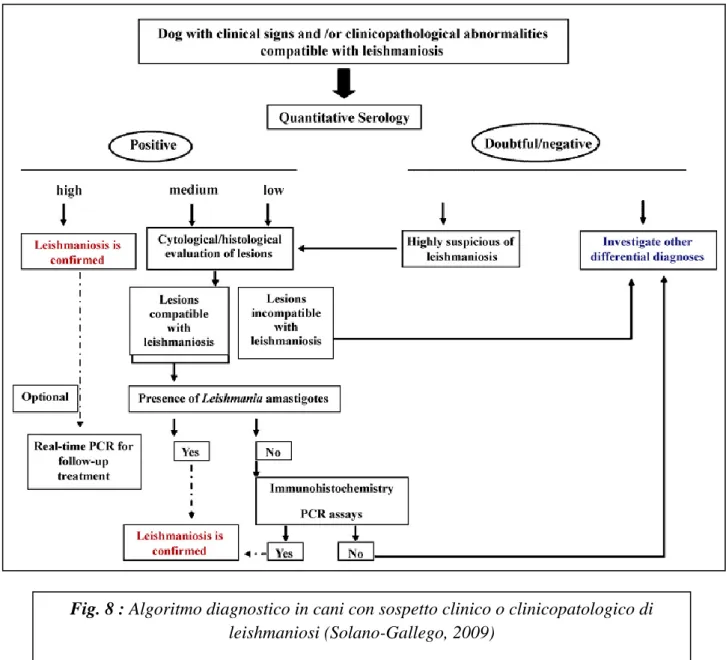 Fig. 8 : Algoritmo diagnostico in cani con sospetto clinico o clinicopatologico di  leishmaniosi (Solano-Gallego, 2009) 