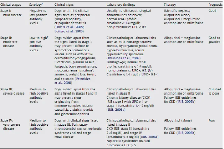 Fig. 10:  Stadiazione clinica della LCan basata sullo stato sierologico, i segni clinici, i riscontri  laboratoristici ed il tipo di terapia e prognosi per ogni stadio clinico 