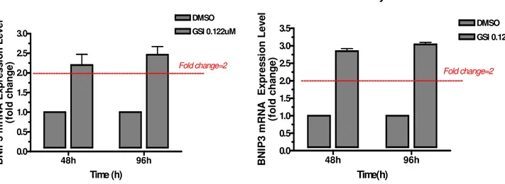 Fig. 15 Real-Time PCR sull’espressione del gene BNIP3 dopo trattamento con GSI  nella linea cellulare RPMI8402  e DND41