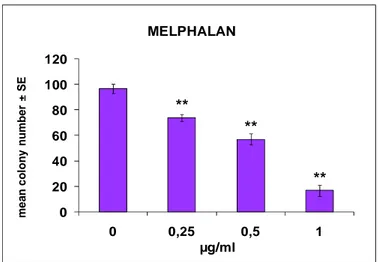 Figura 6.4: Citotossicità (numero medio di colonie/piastra ± errore standard) indotta  in cellule BALB/c 3T3 A31-1-1 dall’agente alchilante melphalan