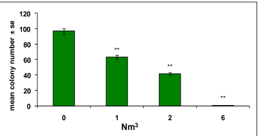 Figura 6.8: Effetti citotossici (numero medio di colonie/piastra ± errore standard) su  BALB/c 3T3 A31-1-1 con campioni di PM 2.5  di fondo urbano estratti con acetone