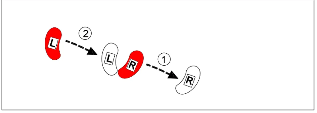 Figura 3:  Passo strisciato          c. Passo giro o Pivot 