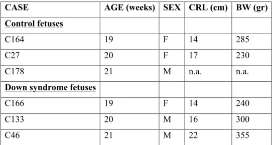 Table 1: List of the cases used in the present study. AGE refers to gestional  age  in  weeks,  CRL:  crown-rump  length;  BW:  body  weight;  n.a.:  not  available