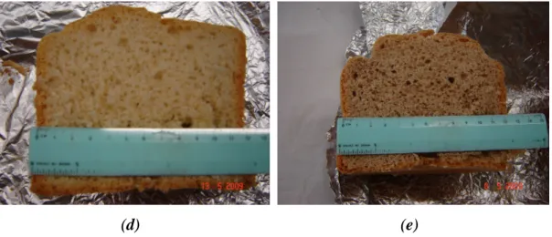 Figura 3-1: Pagnotta di pane prodotto con una comune macchina del pane (a) con diverse  percentuali di idrolizzato di crusca di grano aggiunto: (b) 0%; (c) 33,3% (d) 50%, (e) 100%  
