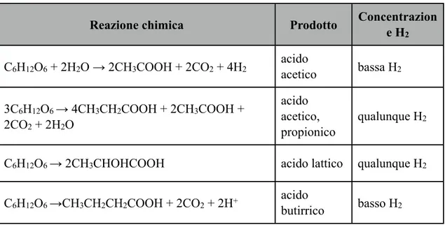 Tabella  1.2  Formazione  di  prodotti  finali  da  glucosio  a  differenti  condizioni  di  concentrazione di  H 2  27