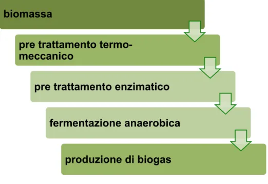 Fig 2.3 Schema di un trattamento sequenziale della biomassa a monte del processo  fermentativo per la produzione di biogas