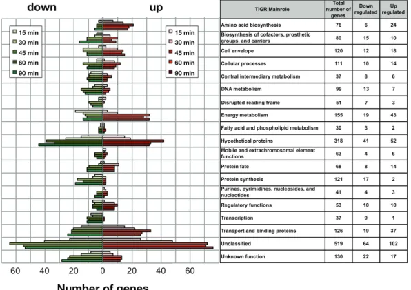 Figure 3. Time course distribution of up- and down- regulated genes within TIGRFAM main  roles