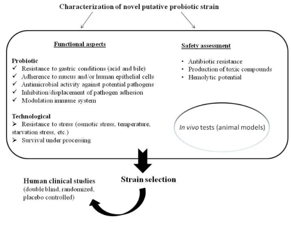 Figure  4  Procedure  for  the  characterisation  of  novel  strain  with  putative  probiotic  status