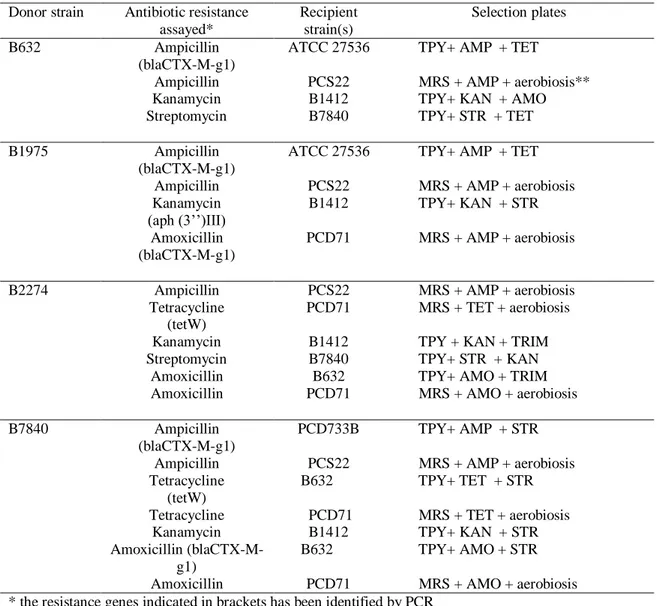 Table 11  Evaluation of the transferability of the antibiotic resistance traits from B