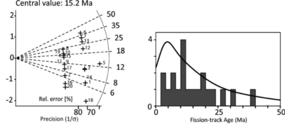 Figura 3-9: Diagramma comparativo tra grafico di distribuzione di densità e grafico radiale di un campione  collezionato al Sempione da Pignalosa, 2008 