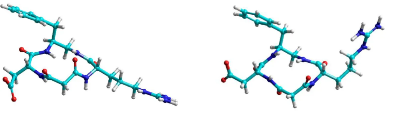 Figure S5. Representative, low-energy structure 5a (left) and 5b (right) consistent with ROESY analysis