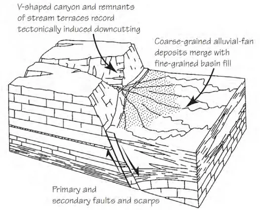 Figure 2.12 -  idealized diagram showing the topographic expression of an active normal fault system (after  Bull, 2007)