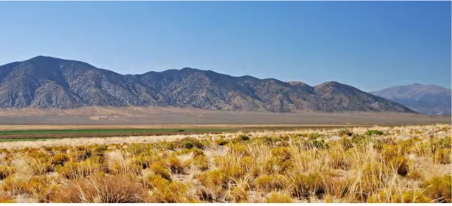 Figure  2.19  -  Quaternary fault scarp in alluvial fan deposits along the northern portion of the  Wassuk  Range, Nevada, USA 