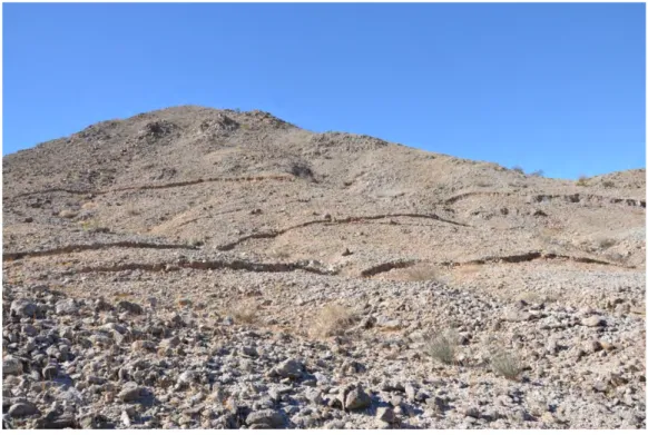 Figure 3.21 - Coseismic fault scarps emerging on the slope in a zone of distributed deformation 