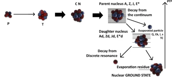 Figure 2.2: Illustrative picture of a fusion-evaporation reaction. In this representation, the decay chain of the CN starts when the nucleus is excited in its continuum, and a discrete state of the daughter nucleus is populated at the last decay step.