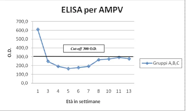 Figura A.2: Andamento della media dei titoli anticorpali per AMPV nei tre gruppi sperimentali