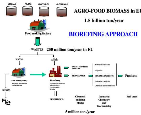 Figura  1.8.  Schema  di  approccio  integrato  alla  valorizzazione  completa  dei  sottoprodotti  dell’agroindustria tramite processi di bioraffinazione chimico-energetica.