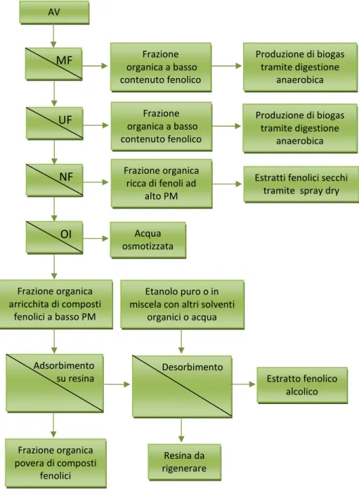 Figura 2.1. Processo di bioraffinazione di acque di vegetazione tramite filtrazione a membrana 27  e  successiva purificazione cromatografica 28 