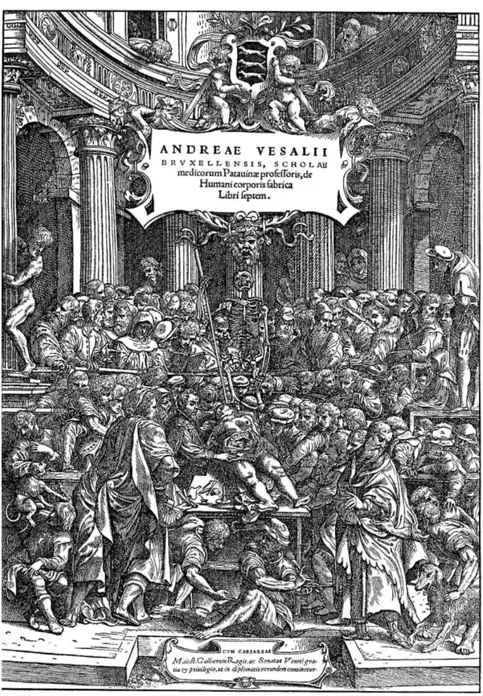 Figura 7: A. Vesalio, Frontespizio De Humani corporis fabrica