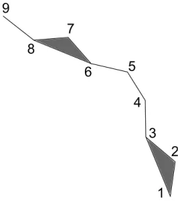 Figure 2.14: The dual shape S.