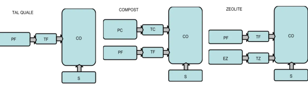 Figura 2. Processi specifici di ogni sistema colturale a confronto 