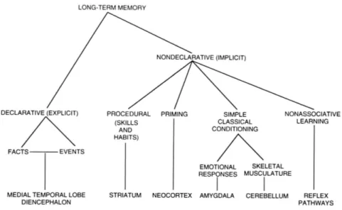 Fig 1.1. Schematic representation and functional classification of long-term memory and  associated brain structures (modified from Squire, 2004)