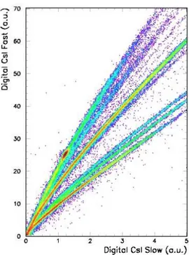 Figure 2.15: Pulse shape discrimination of light charged particles in CsI(Tl) performed by the on-board DSPs.