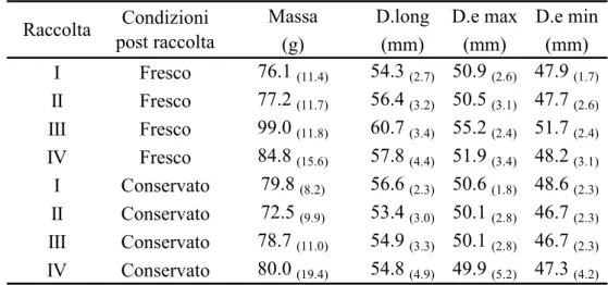 Tabella 4.1. Valori medi e deviazioni standard della massa e dei parametri  dimensionali misurati sul campione fresco e conservato .