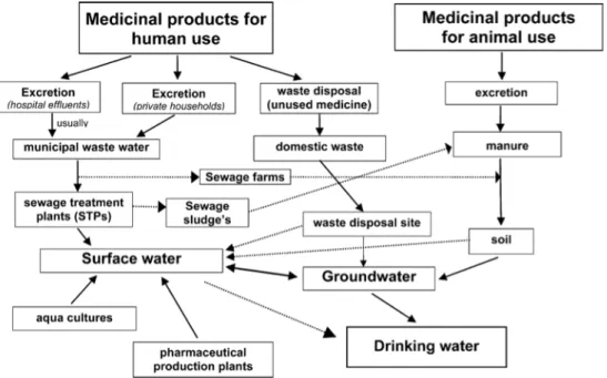 Fig.  1.4.  Scheme  showing  possible  sources  and  pathways  for  the  occurrence  of  pharmaceutical  residues in the aquatic environment