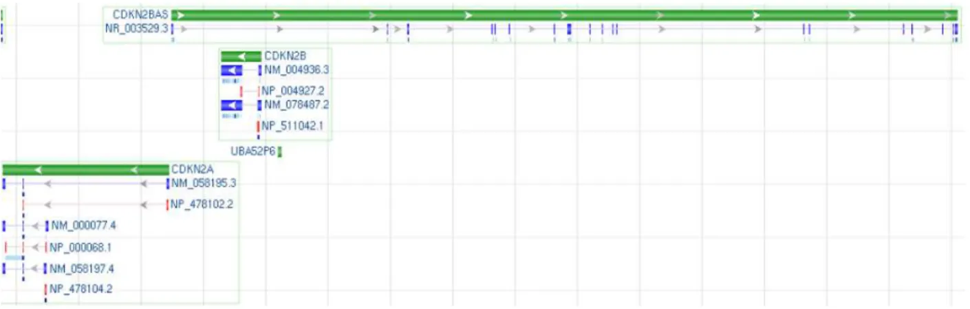 Fig.  1.4  9p21  Locus  NC_000009.11  Homo  sapiens  chromosome  9,  GRCh37.p2  primary  reference  assembly  MapViewer representation