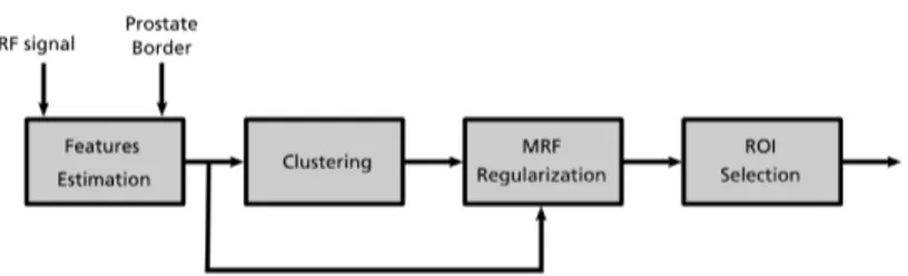 Figure 2.2: Schematic representation of ROI segmentation algorithm.