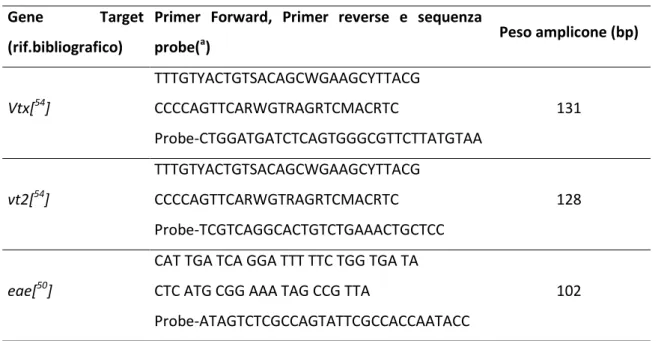 Tabella 3 Primer e Probe degenerati per la ricerca dei geni di virulenza  Gene  Target 