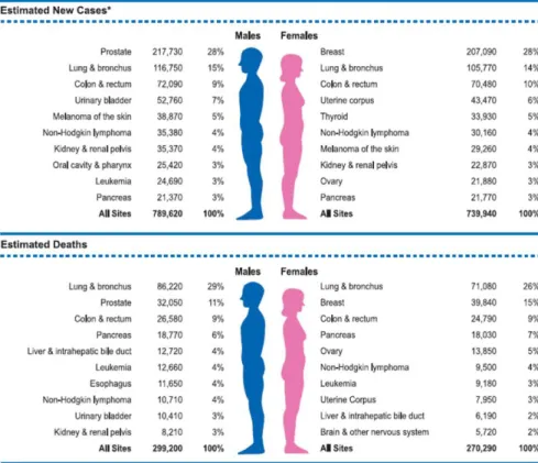 Figure 1: Ten Leading Cancer Types for the Estimated New Cancer Cases and Deaths by Sex,  2010
