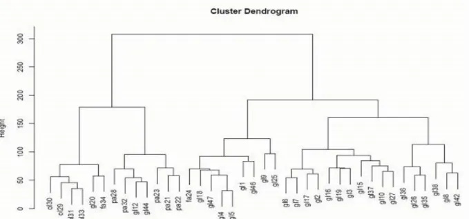 Figura 1. Cluster dendrogram. gl= glioblastoma; pa= astrocitoma pilocitico; fa= astrocitoma fibrillare; ol=