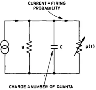 Figure 1.12: Equivalent electrical circuit of firing generation in hair cell.