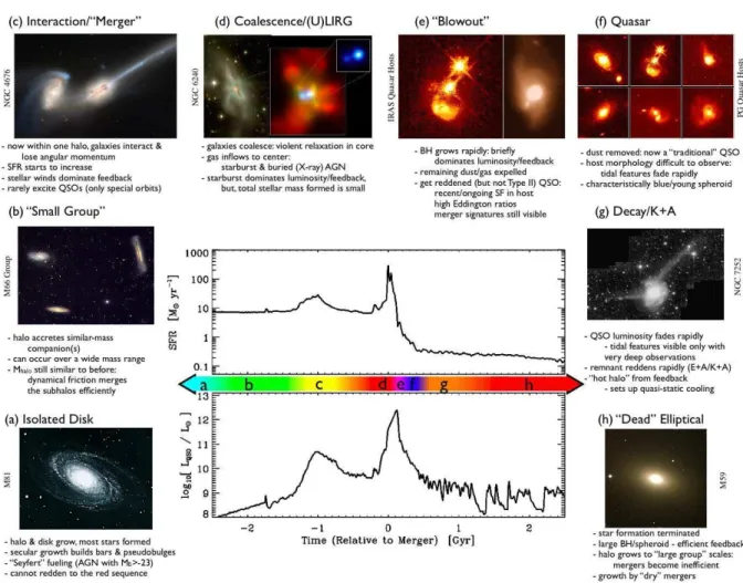 Figure 1.7: Schematic outline of the phases of growth in a “typical” galaxy. Image credit: (a) NOAO/AURA/NSF; (b) REU program/NOAO/AURA/NSF; (c) NASA/STScI/ACS Science Team; (d)  op-tical (left): NASA /STScI/R