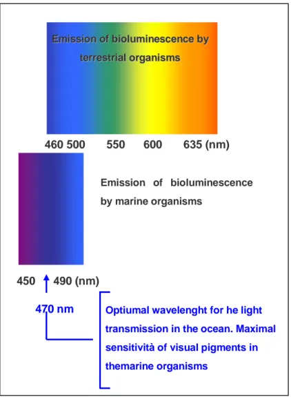 Figure 1 Wavelenghts emission of tereestrial and marine organisms. 