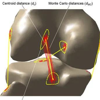Figure 5: 3D digital model of one knee specimen: the ligament attachment areas and the  tibio-femoral  distances  between  the  centroids  (d c )  (yellow  lines)  as  well  as  between  selected Monte Carlo pairs (d MC ) (red lines) are depicted