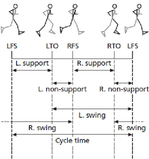 Figure 1 (1.1): Left and right foot temporal parameters (foot-strike: LFS, RFS, and toe-off: 