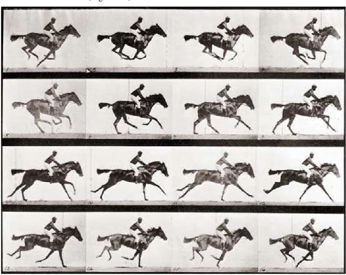 Fig. 1-2. Galloping horse (from Muybridge, 1878). 