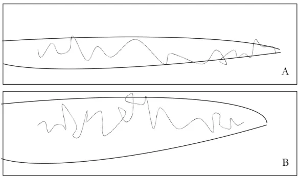 Fig. 12: Schemi di percorsi aerei di maschi in presenza di filetti odorosi in leggero vento (A) e  in aria ferma (B) 