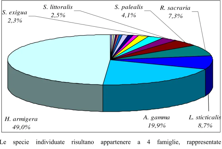 Fig. 30: specie di lepidotteri percentualmente più rilevanti catturate a Latina nel 2009